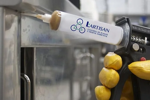 empresa de fumigación en Mallorca | Control de Plagas Mallorca empresa de fumigación en Mallorca | Control de Plagas