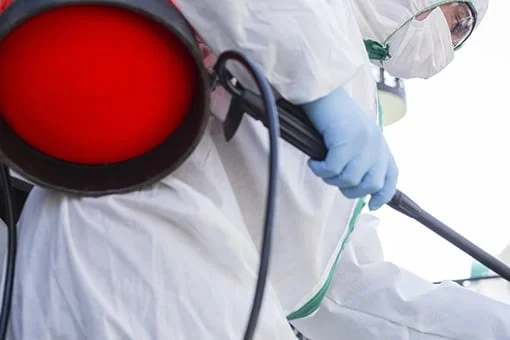 empresa de fumigación en Mallorca | Control de Plagas Mallorca empresa de fumigación en Mallorca | Control de Plagas