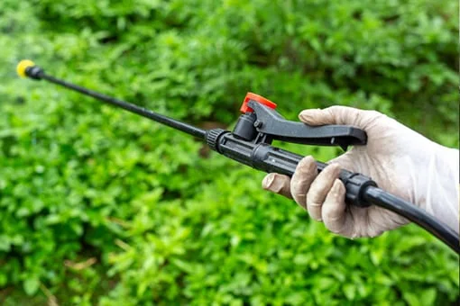 empresa de fumigación en Mallorca | Control de Plagas Mallorca empresa de fumigación en Mallorca | Control de Plagas